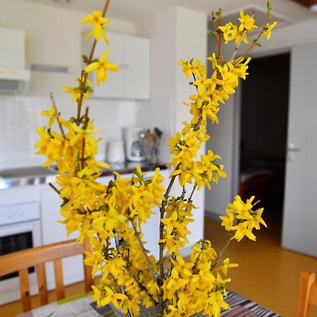 L'Oree Du Pichier Boisset  Bilik gambar