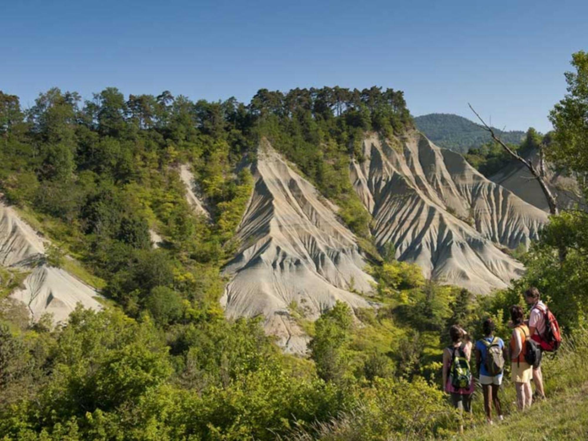 L'Oree Du Pichier Boisset  Bilik gambar